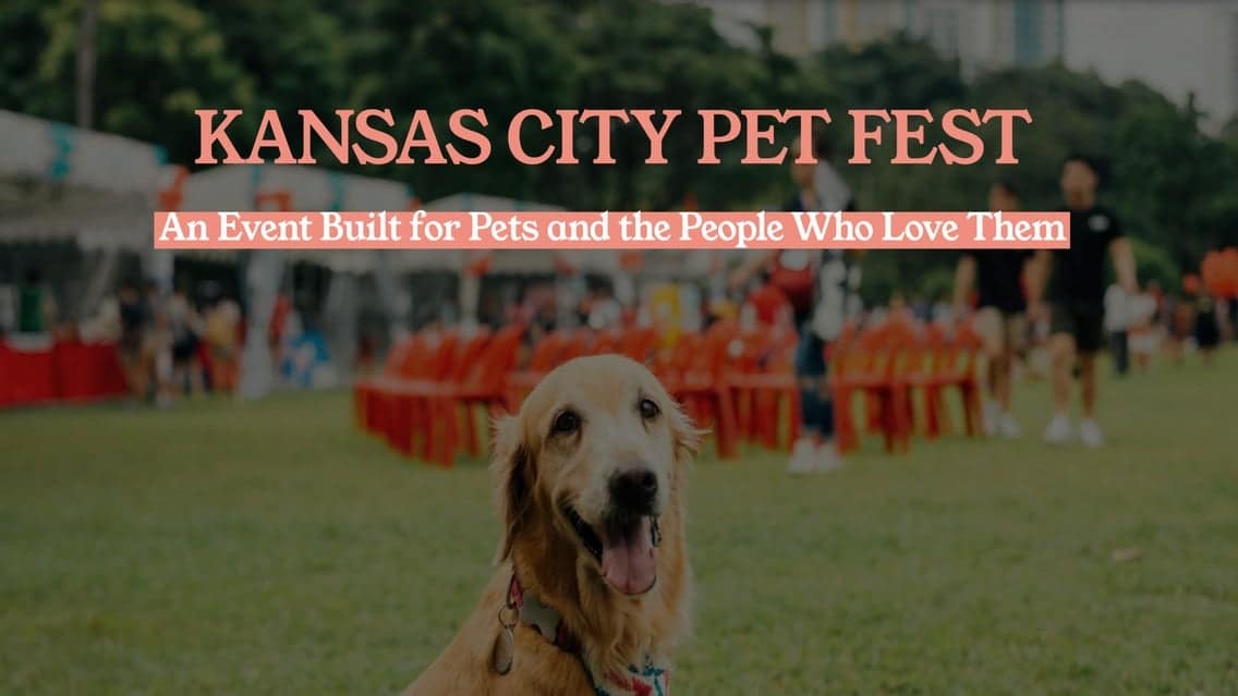 2026 KC PET FEST: Good 1 day Fri 11/6 OR Sat 11/7 event image