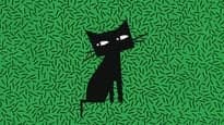 The Cat Laughs Comedy Festival event image