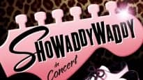 Showaddywaddy's Christmas Cracker event image