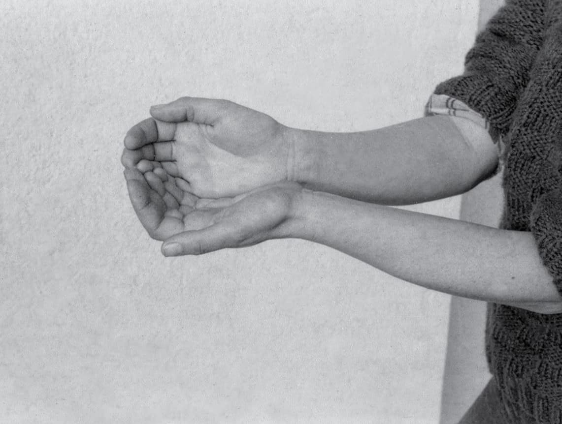 Maria José Oliveira event image