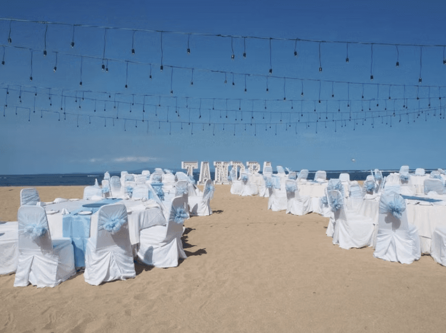 Nicole Joye event image