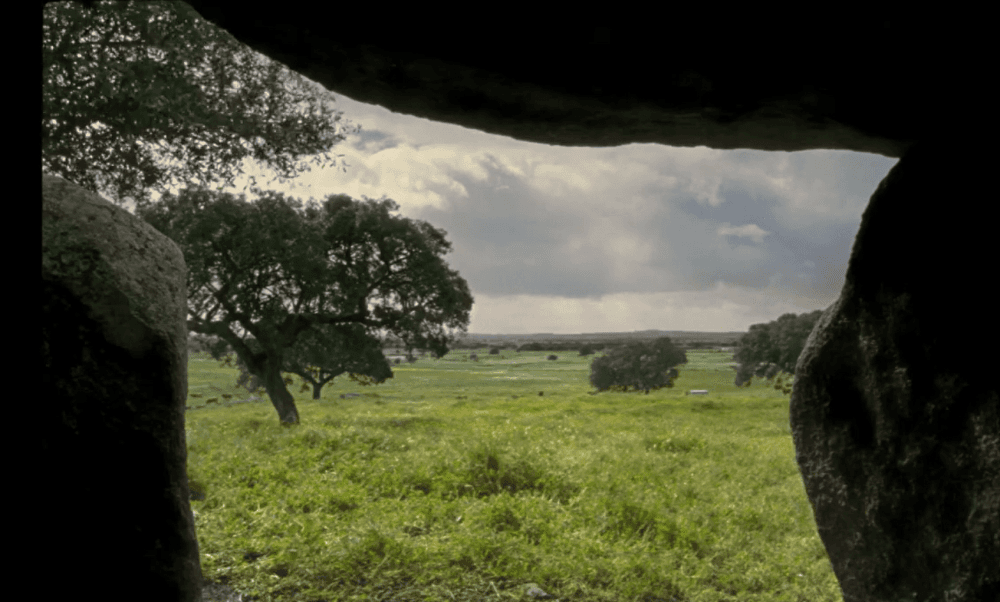 Ciclo de Cinema Ambiental II event image