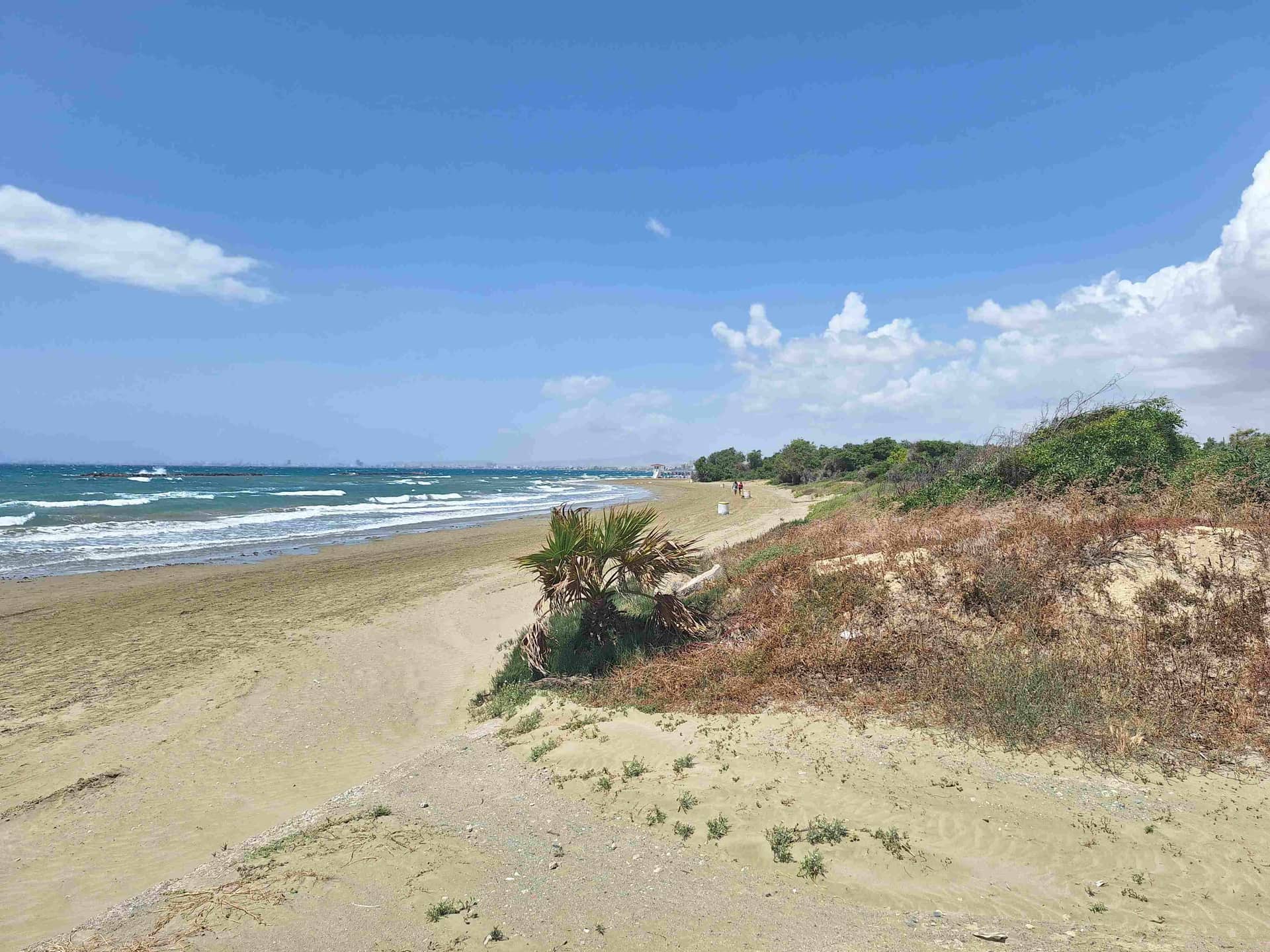 Coastal Walking & Beach BBQ: Sunset Adventure in Larnaca event image