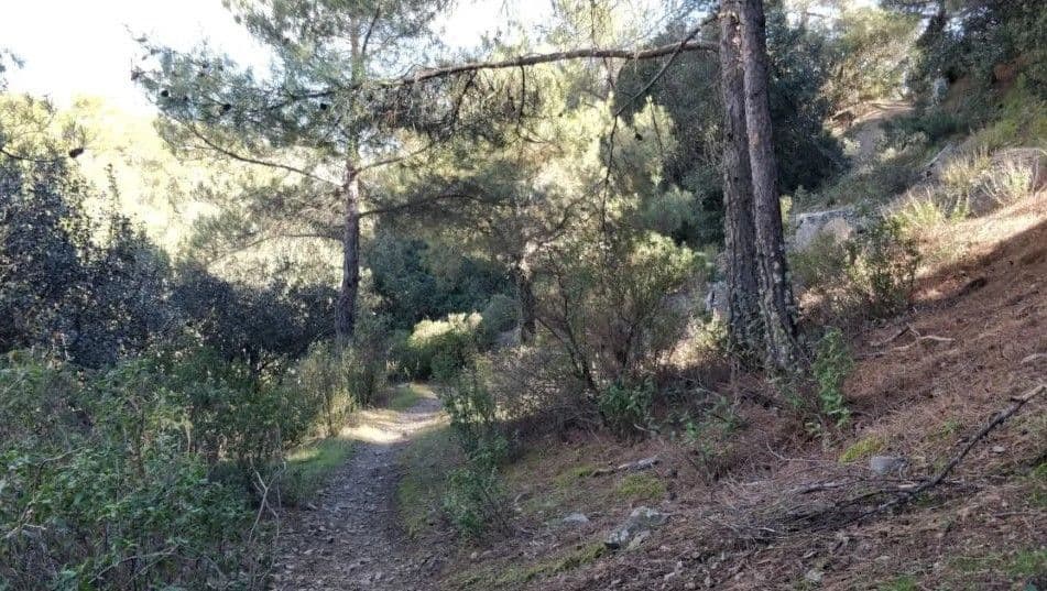 Duo Mouttes Pavliades: Relaxing Evening Hiking in Nicosia event image
