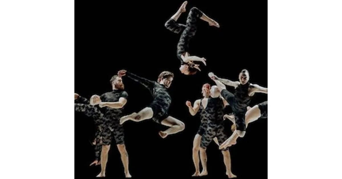 C!rca - Contemporary Circus Company / AUS - C!RCA - NORTH OF NOW