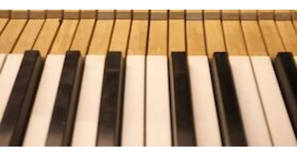 Jazzfestival Freiburg 2026 - 10. Internationaler Jazzhaus-Piano-Wettbewerb "In Memoriam Waldi Heidepriem"