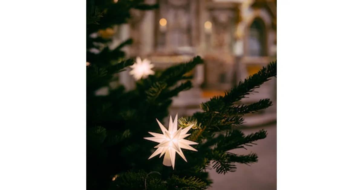 DAS SONNTAGSKONZERT - SAINT-SAËNS – Oratorio de Noël