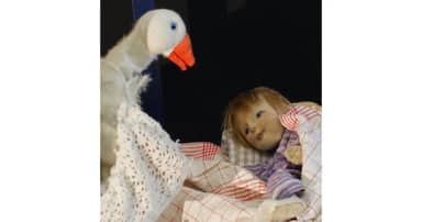 Theater Anderland