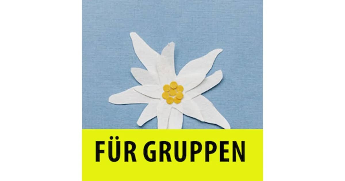 Heidi - Gruppenvorstellung