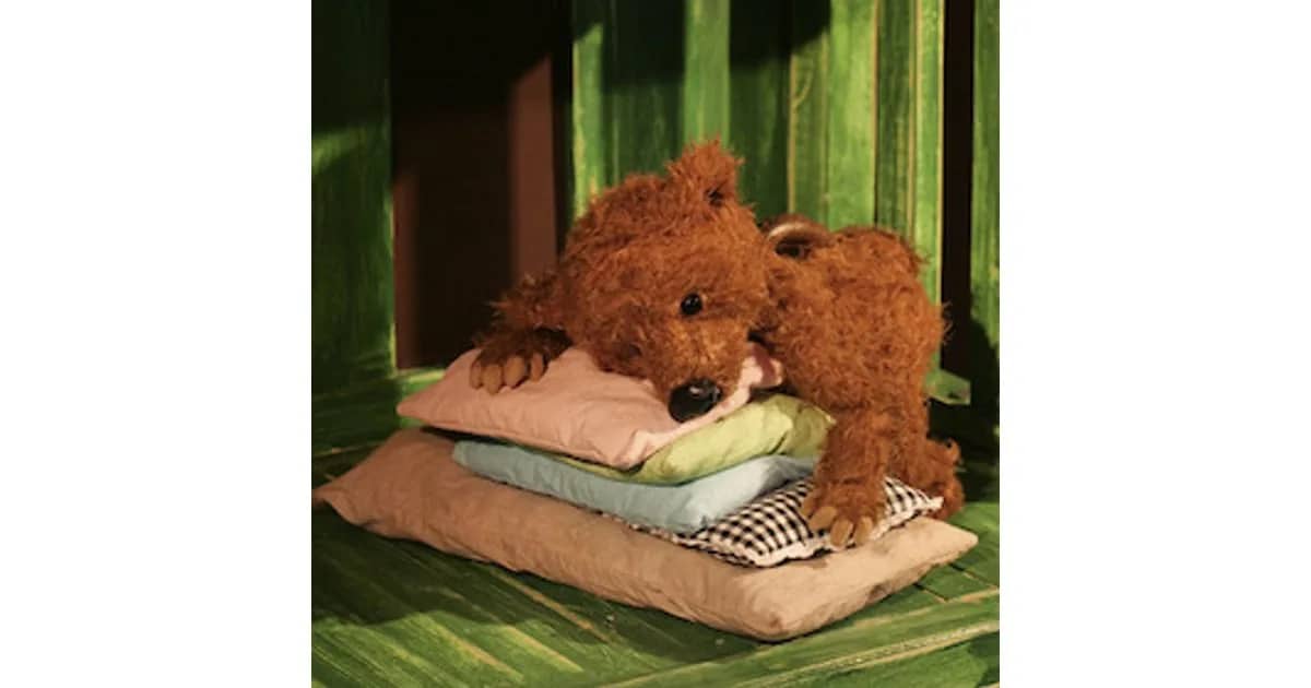 2025/26 - 2. Halbjahr - Kinderkultur - Figurentheater Pantaleon - Bär hat es schwer