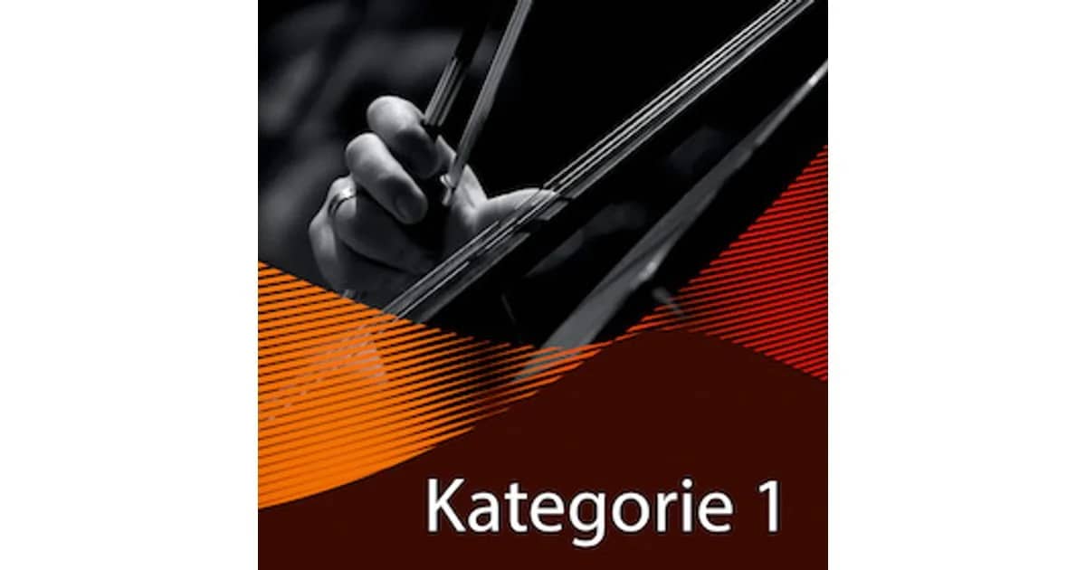 10er-Vorteils-Paket - Kategorie 1 - 10 Konzerte