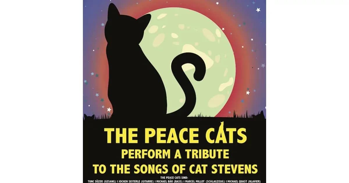 The Songs of Cat Stevens - A tribute performed by the Peace Cats
