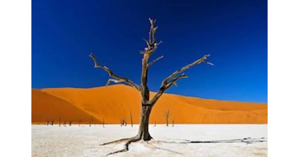 Namibia & Botswana - Echo der Schöpfung