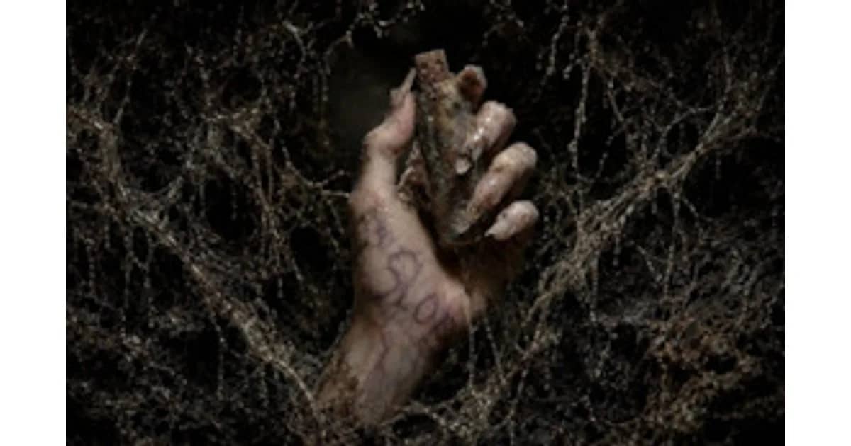 SLOP - Premiere