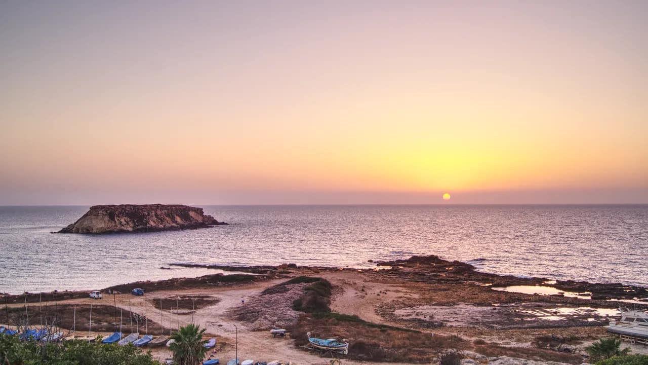 Cyprus Summer Festivals 2026: Music, Beer & Food