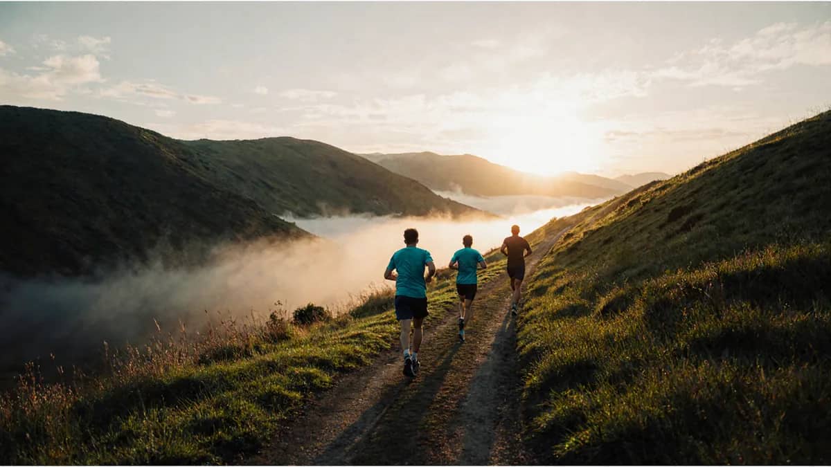AI-generated illustration Three runners seen from behind on a hill trail above a misty valley at dawn — AI-generated illustration