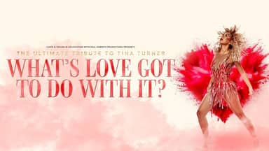 What's Love Got to do With it - Tina Turner Tribute
