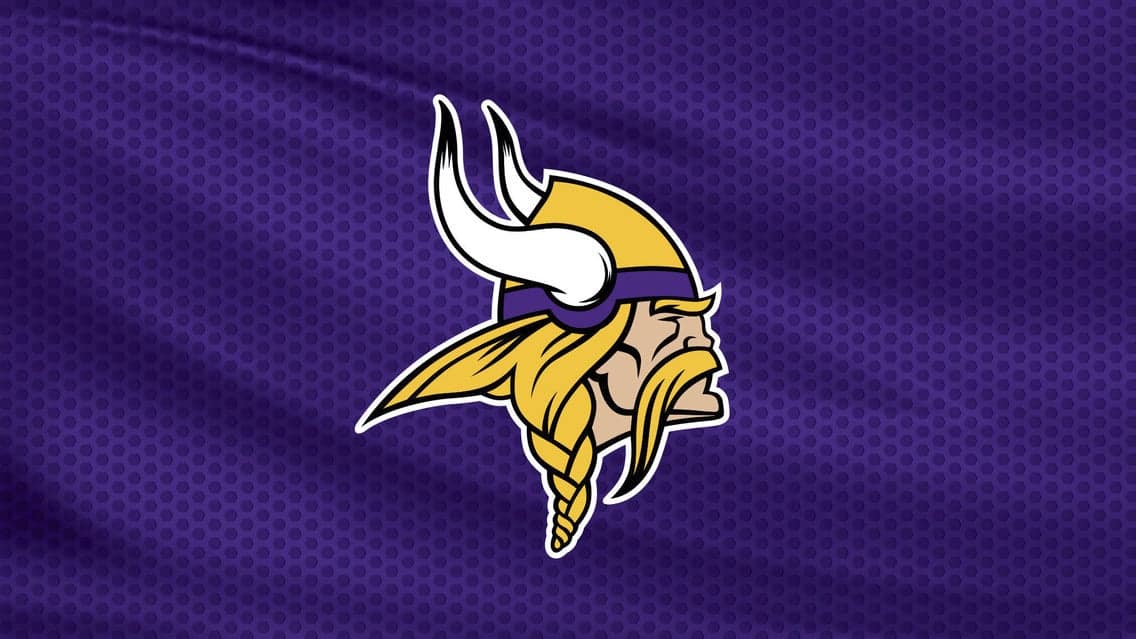 Preseason Game: Minnesota Vikings v Baltimore Ravens