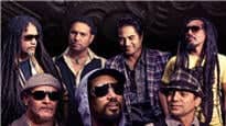 Katchafire