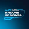 World Endurance Championship